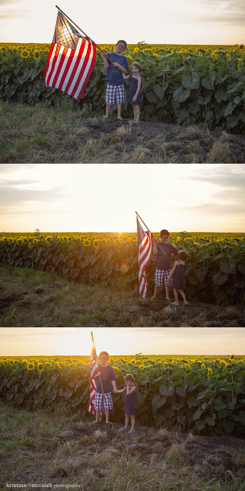 Kristina McCaleb Photography Sunflowers Dallas Children's Photography