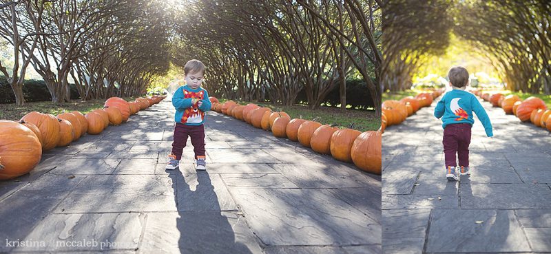 Pumpkin Patch Mini Sessions | Dallas, Tx Children's Photography