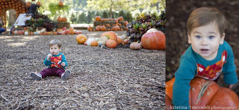 Pumpkin Patch Mini Sessions | Dallas, Tx... Kristina McCaleb Photography