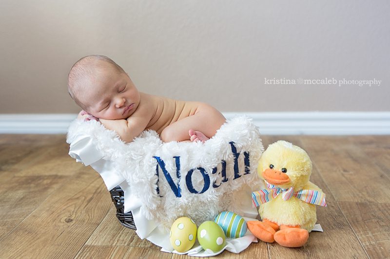 Forney Newborn Photography - Forney Texas, Kristina McCaleb Photography