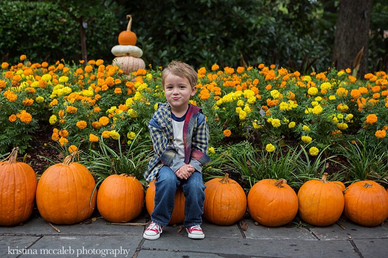 Kristina McCaleb Photography-Dallas Children's Photography Halloween Mini's_0007