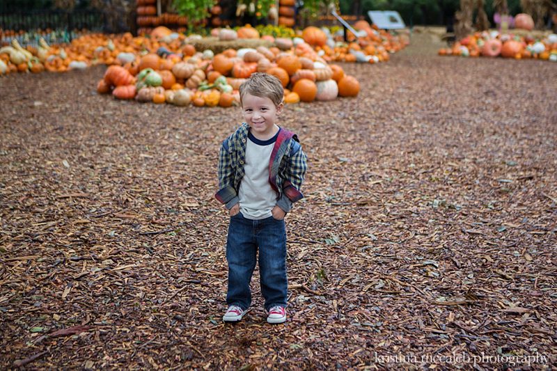 Kristina McCaleb Photography-Dallas Children's Photography Halloween Mini's_0010
