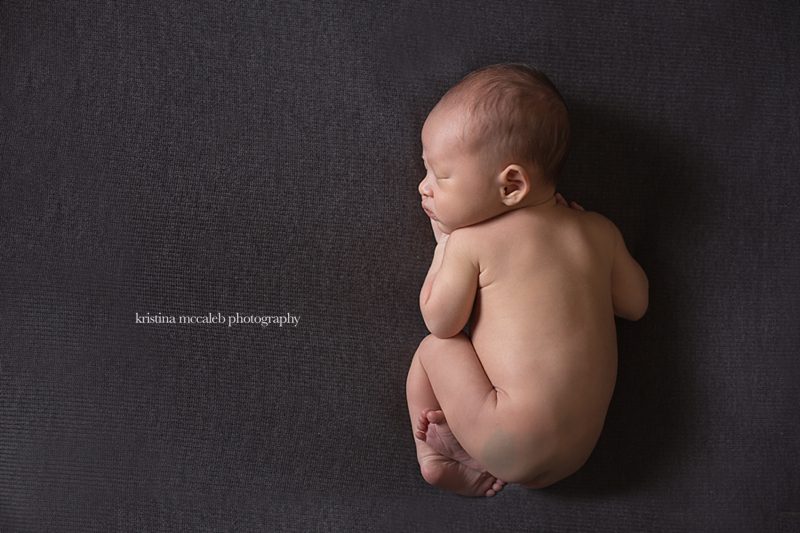 wylie newborn photography