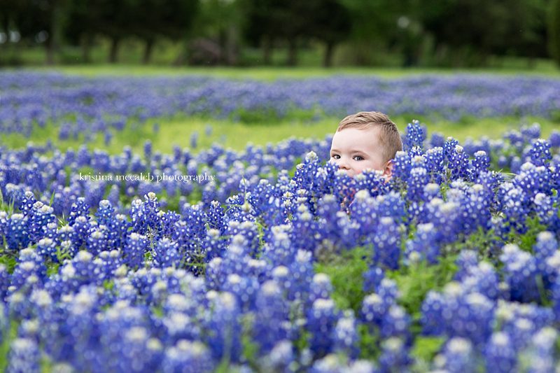 Texas Bluebonnet Mini Sessions - Dallas, Texas Kristina McCaleb Photography