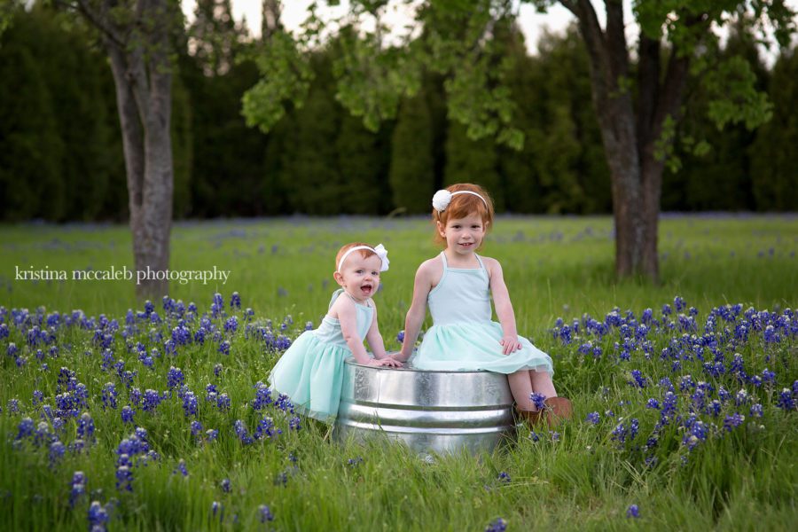 Texas Forever. The Ultimate in Texas flowers: the Bluebonnet