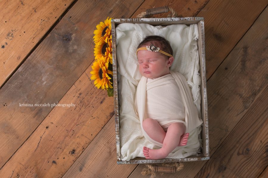 newborn photographer dallas - kristina mccaleb photography
