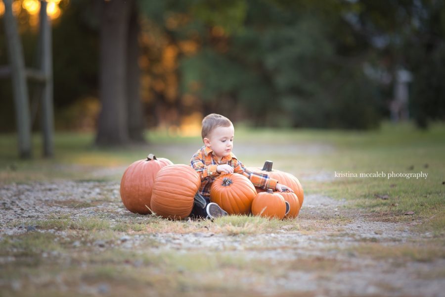 Pumpkin Photo Shoot - Kristina McCaleb Photography