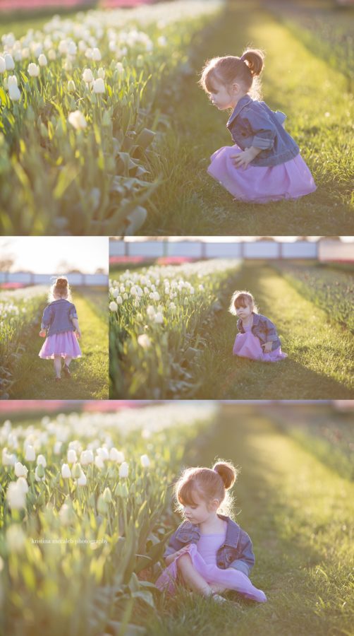 Dancing in the Tulips