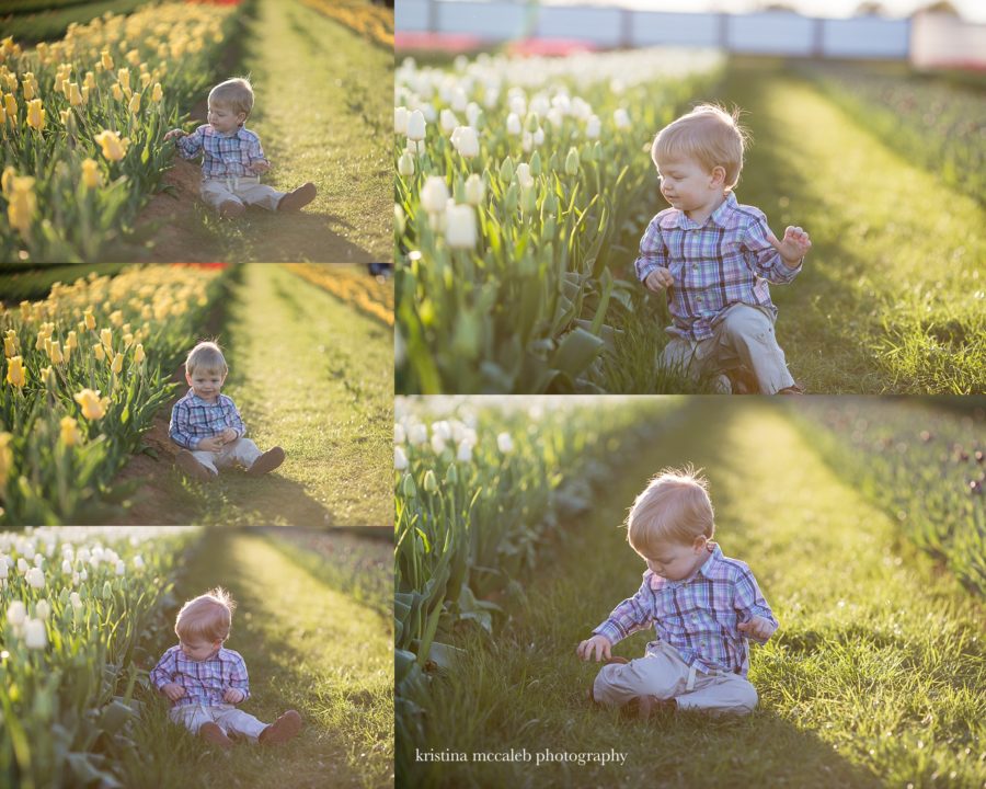 Prosper Children's Photographer | Tulip in the Spring