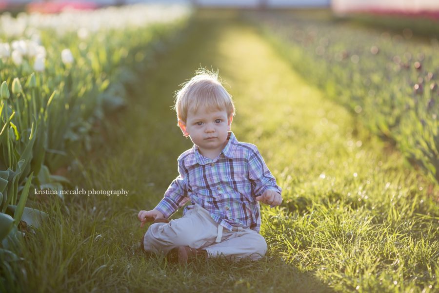 McKinney Children's Photographer | Tulip in the Spring