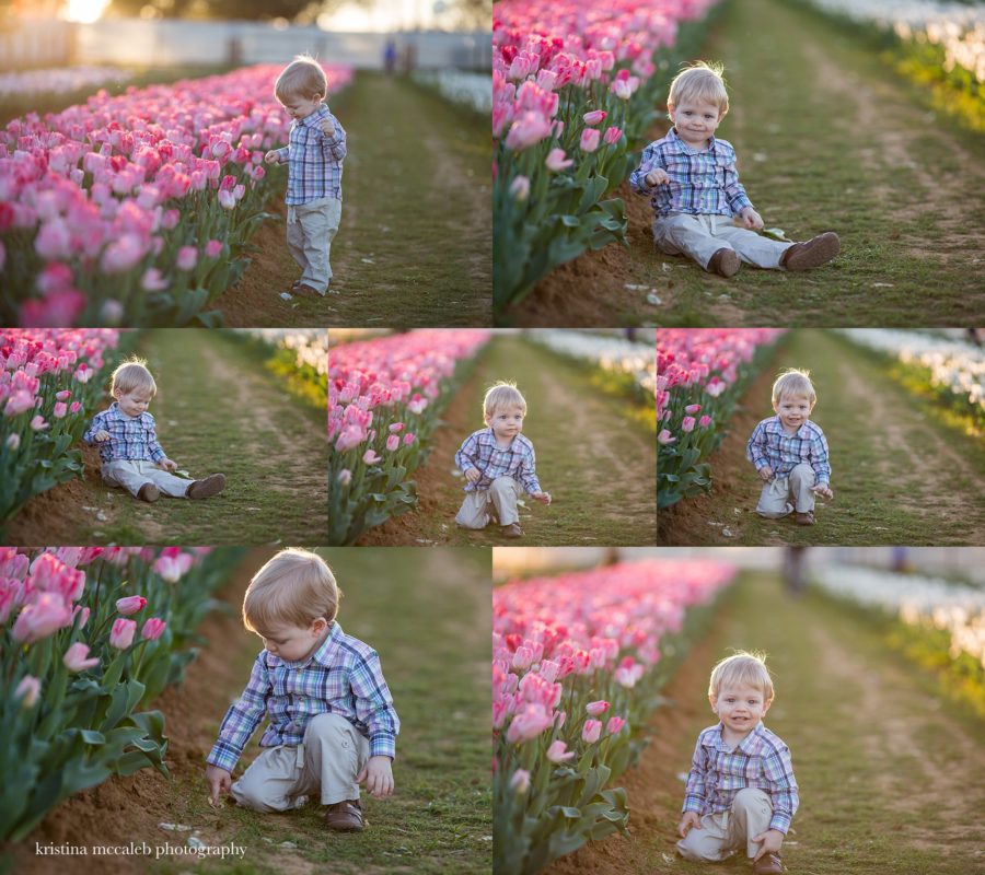 Dallas Children's Photographer | Tulip in the Spring