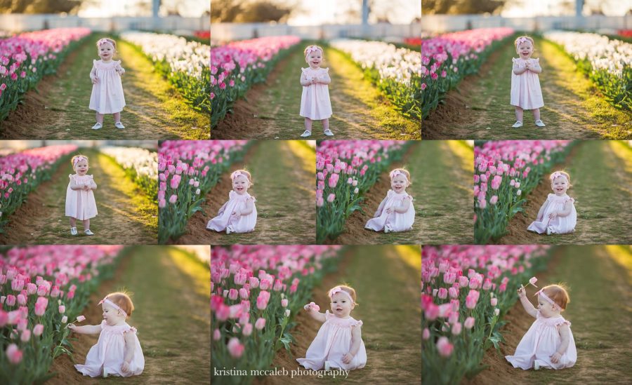 Dallas Children's Photographer Three Reasons You Should Fall In Love With Tulips