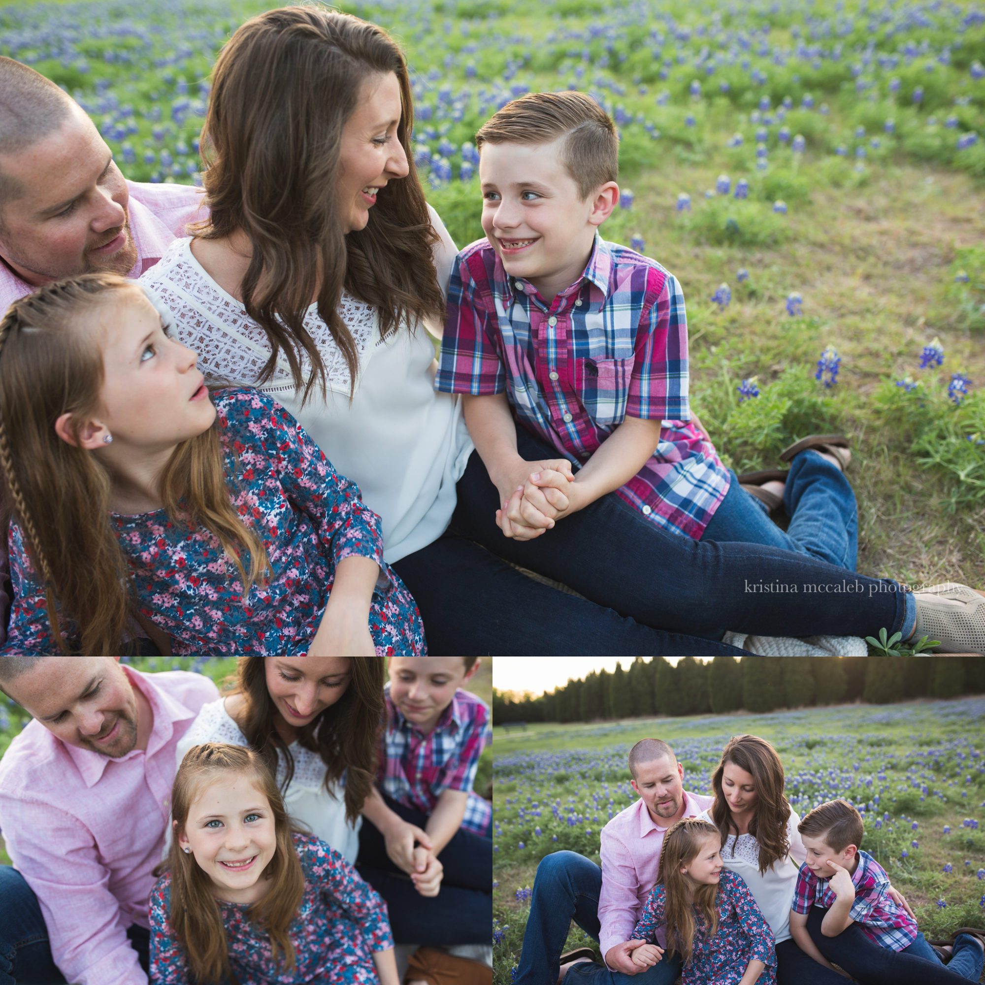 Bluebonnets in Texas Photo Sessions