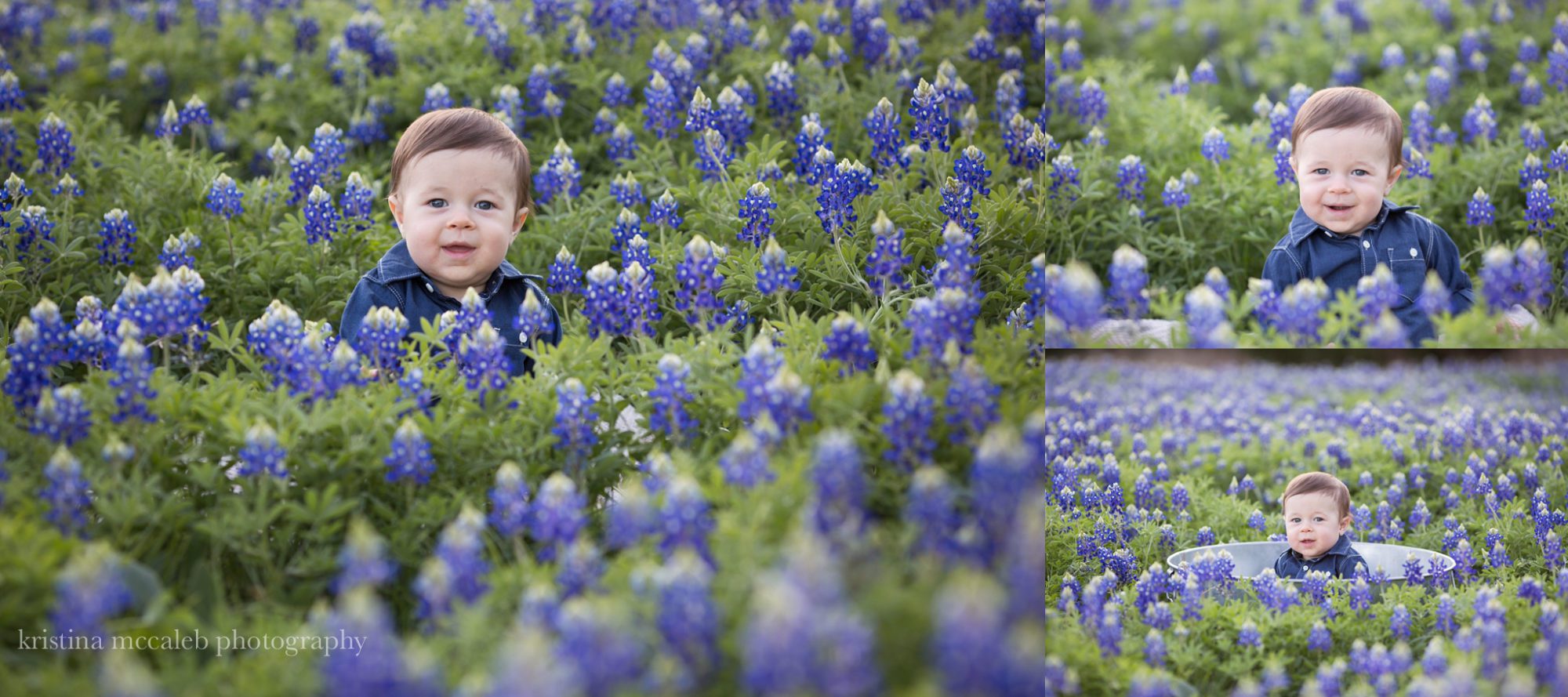 Why we love bluebonnets in Texas