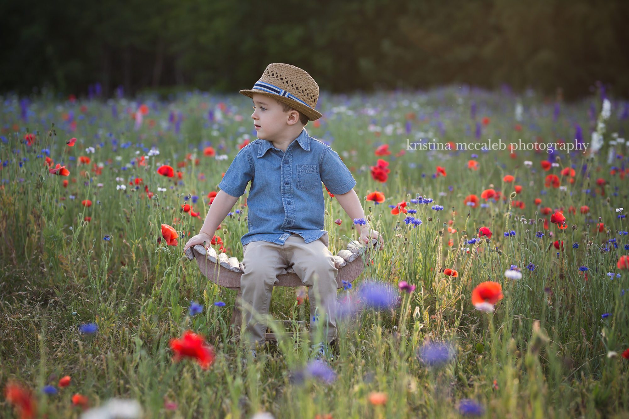 Dallas Wildflower Mini Sessions