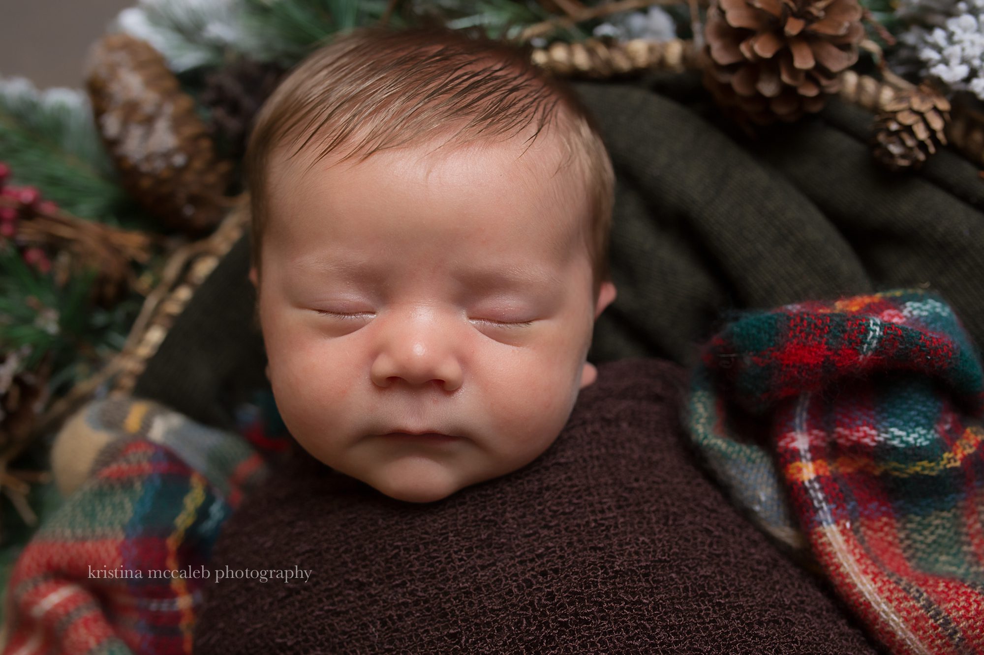 Dallas Newborn Photographer
