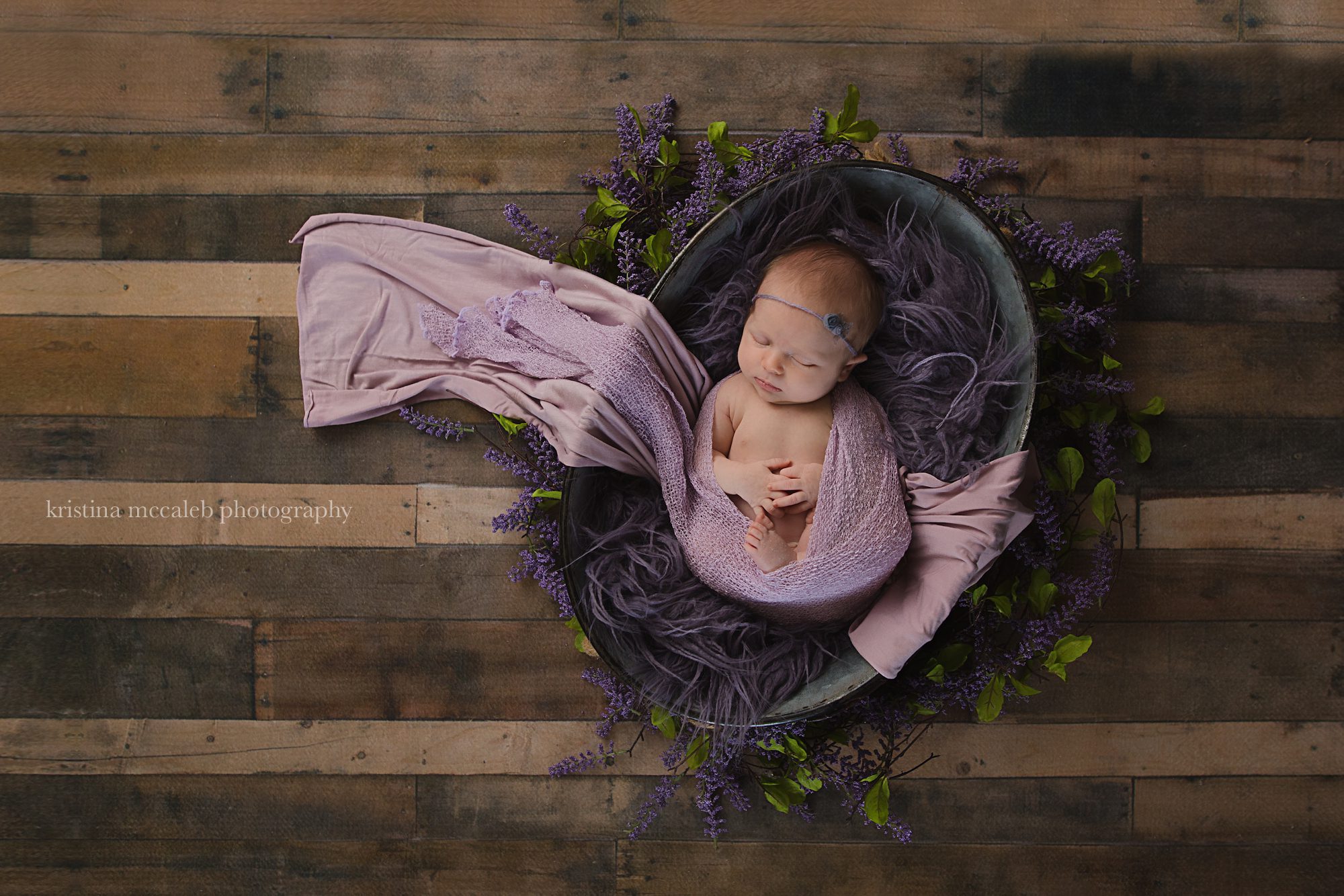 dallas newborn photographer