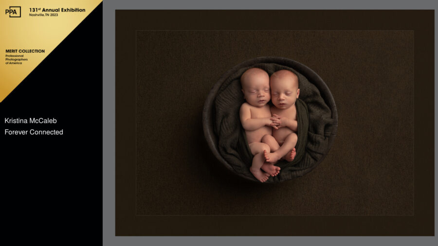 PPA Merit Collection, Twin Newborns, Twins, baby photographs, dallas newborn photographer, dallas newborn photography
